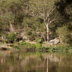 Lane Cove River Park