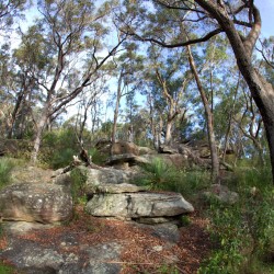 Lane Cove River Park