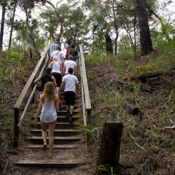 Fraser Island