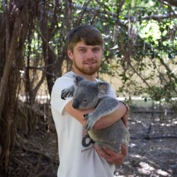 Dennis mit einem Koala