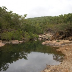 Alligator Creek