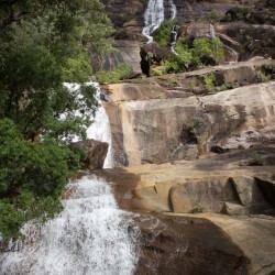 Alligator Creek - Wasserfall
