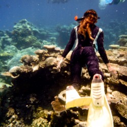 Great Barrier Reef