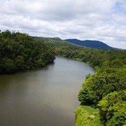 Regenwald & Fluss aus der Vogelperspektive