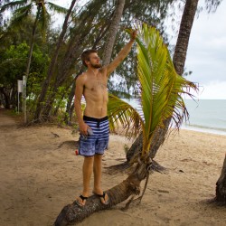 Dennis erklimmt eine Palme