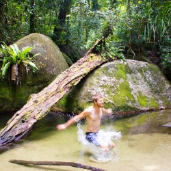 Im Regenwald schwimmen gehen