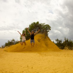 The Pinnacles Desert